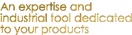 An expertise and an industrial tool dedicated to your products